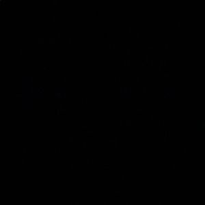 Meet your Posher, Sophia